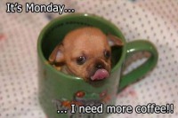 /album/imagen-del-dia/a1464661-10151876618656655-1528819852-n-jpg/