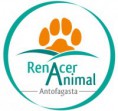 Renacer Animal