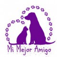 Mi mejor amigo, Animalistas UCN Antofagasta